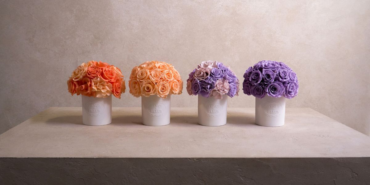 Venus et Fleur® Spring Rose Colors and Reflexed Roses