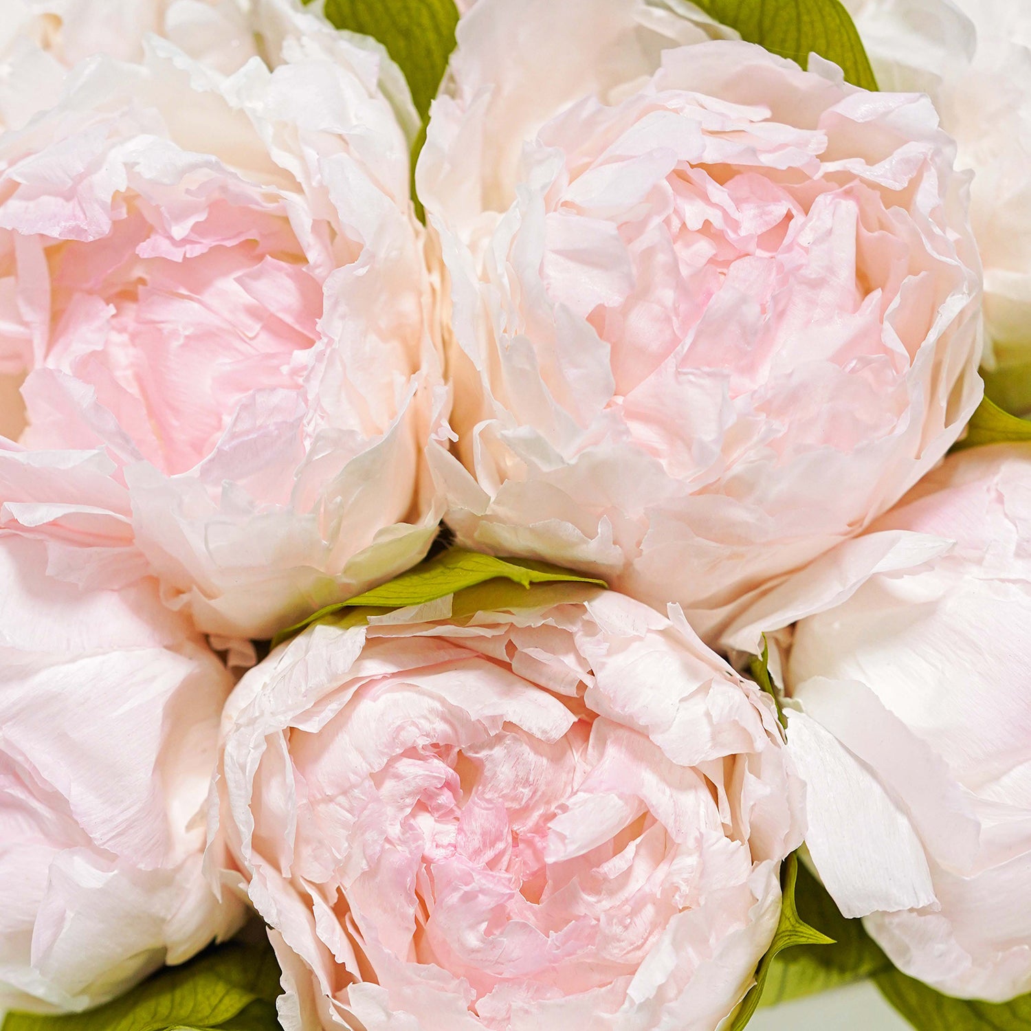 peonies