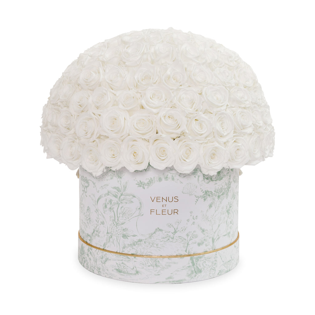 Large Le Plein, Toile du Joie, Pure White, 150 Eternity Roses, Venus et Fleur
