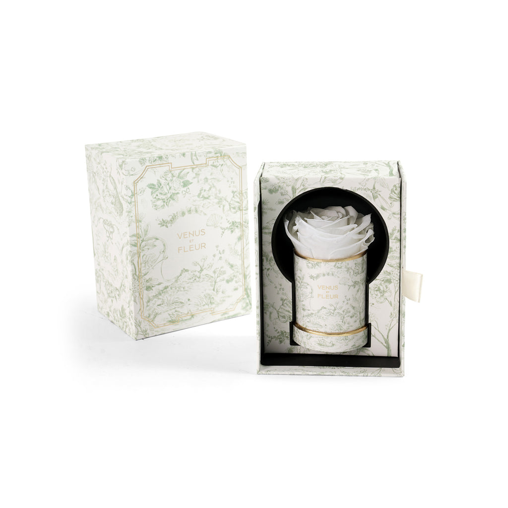 Le Mini Round, Toile du Joie, Pure White, 1 Eternity Rose, Venus et Fleur