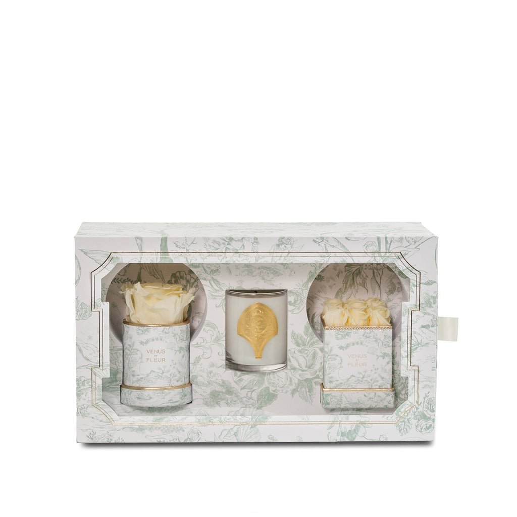 Toile du Joie Bundle Set, Toile du Joie, Buttermilk Yellow, , Venus et Fleur