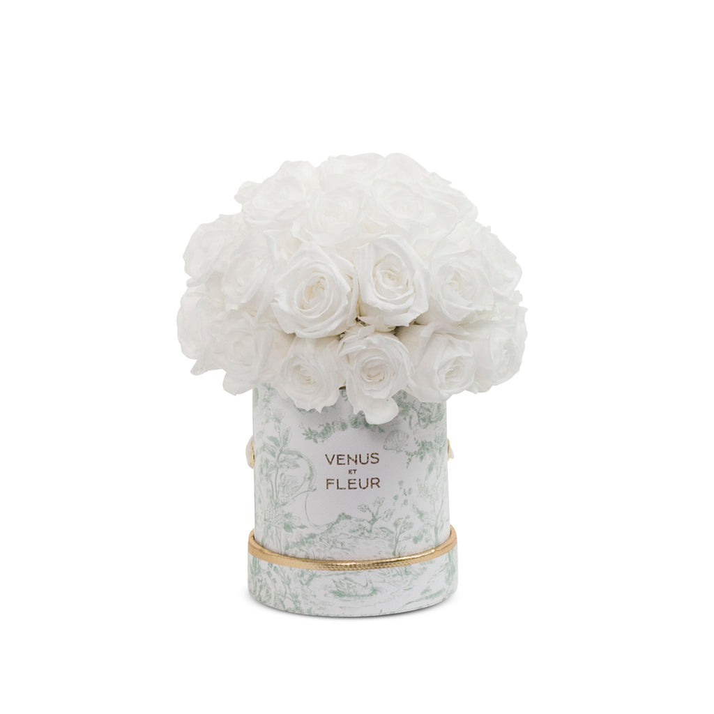Mini Le Plein, Toile du Joie, Pure White, 15-27 Eternity Roses, Venus et Fleur