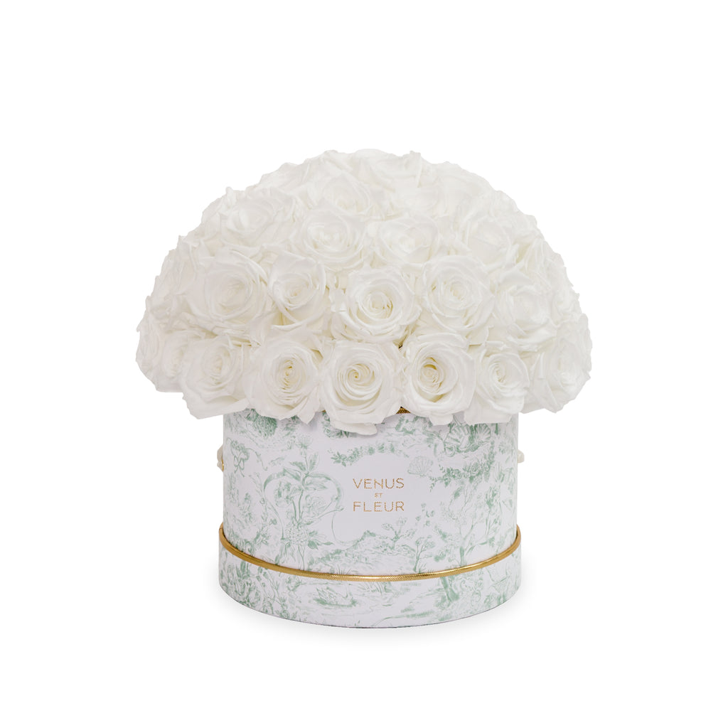 Small Le Plein, Toile du Joie, Pure White, 45-49 Eternity Roses, Venus et Fleur