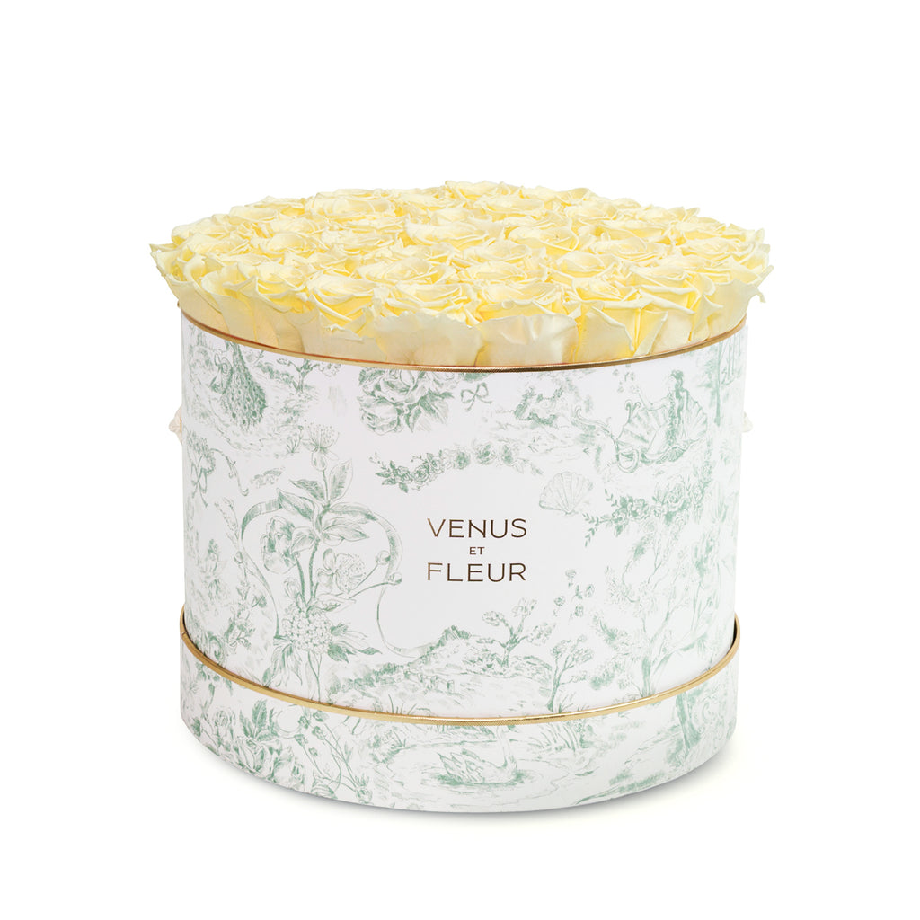 Large Round, Toile du Joie, Buttermilk Yellow, 42-49 Eternity Roses, Venus et Fleur