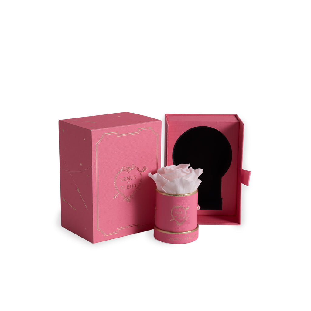 Le Mini Round, Bisou Bisou, Blush, 1 Eternity Rose, Venus et Fleur