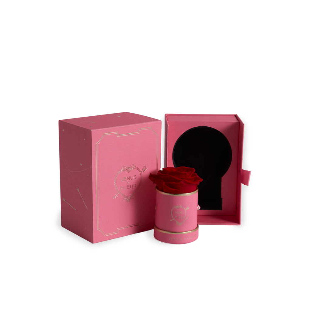 Le Mini Round, Bisou Bisou, Red, 1 Eternity Rose, Venus et Fleur