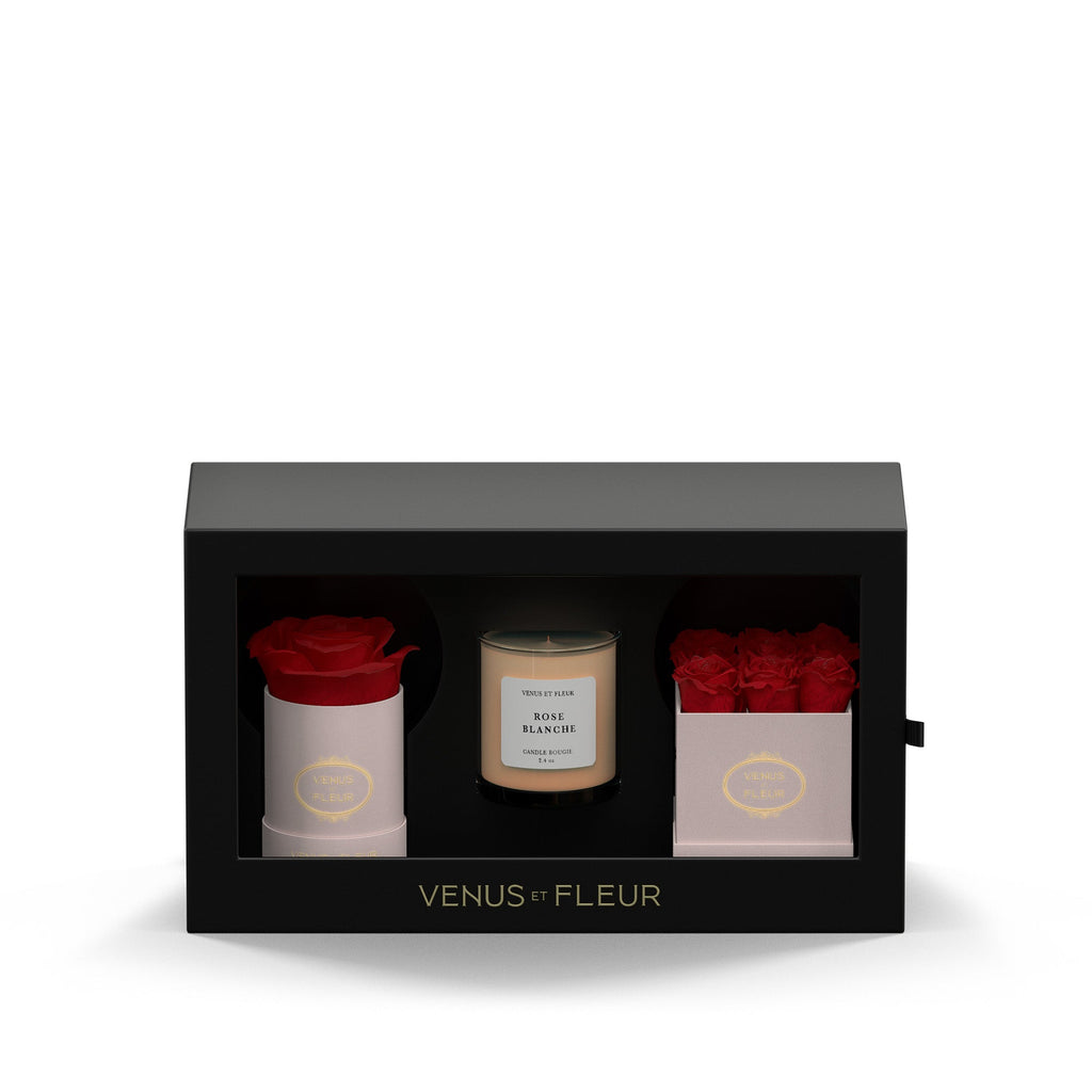 The Classic Bundle, Blush Suede, Red, Rose Blanche, 3.75 × 10 × 5.75 inches, Venus et Fleur