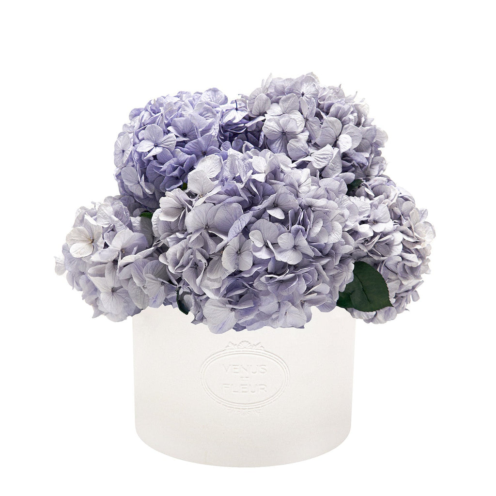 Thalia Porcelain Vase, Hydrangeas, Ice Blue, Eternity Flower Arrangement, Venus et Fleur