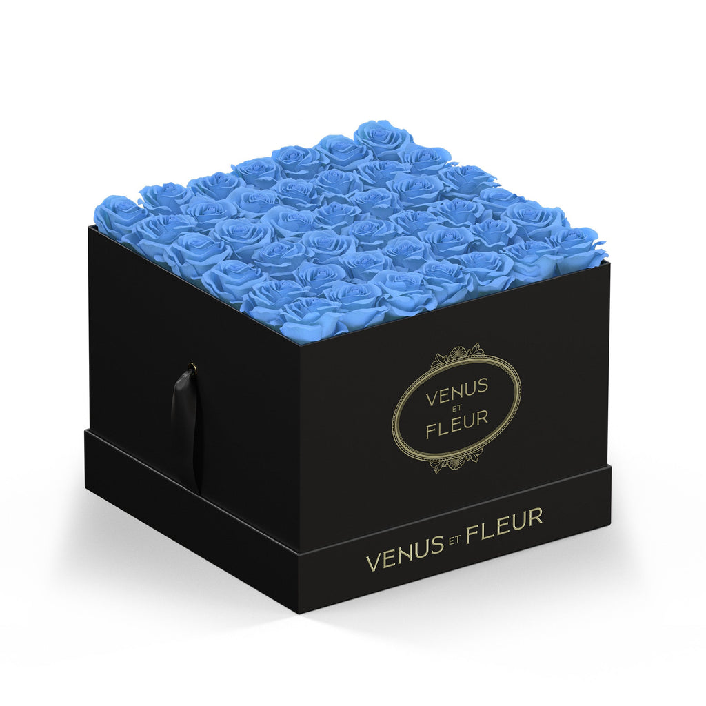 Large Square, Black Classic, Baby Blue, 49 Eternity Roses, Venus et Fleur