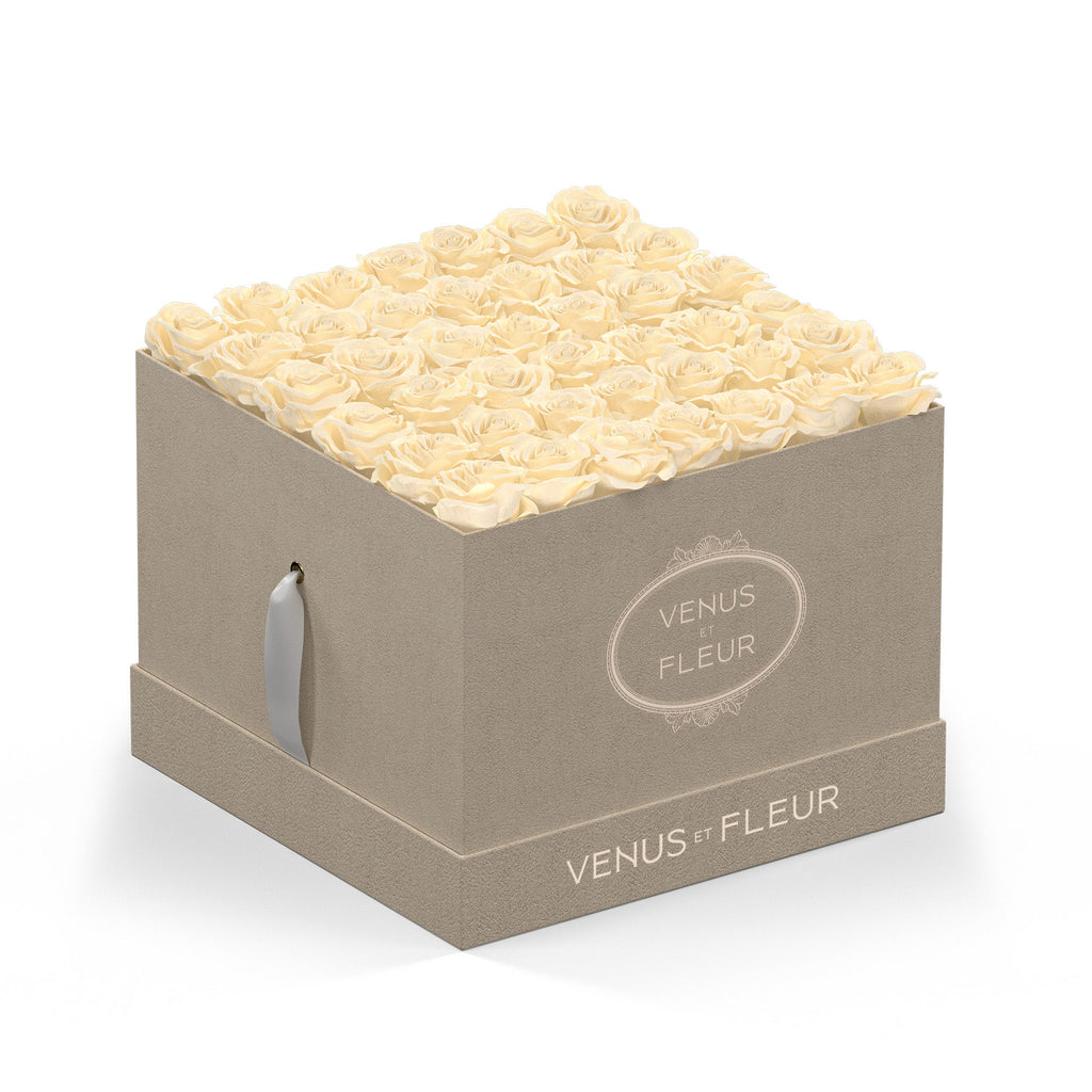Large Square, Cream Suede, Pearl, 42-49 Eternity Roses, Venus et Fleur