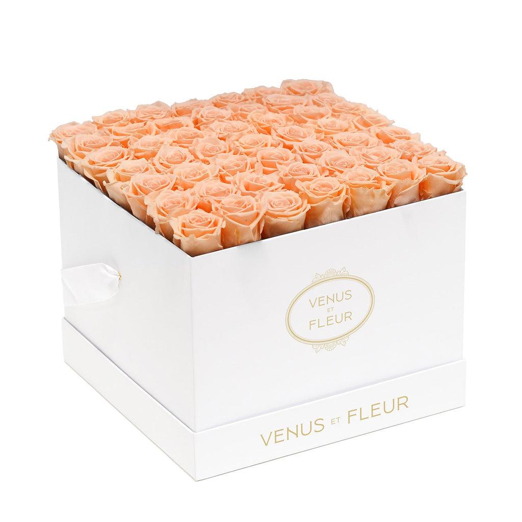 Large Square, White Classic, Peach Nectar, 42-49 Eternity Roses, Venus et Fleur