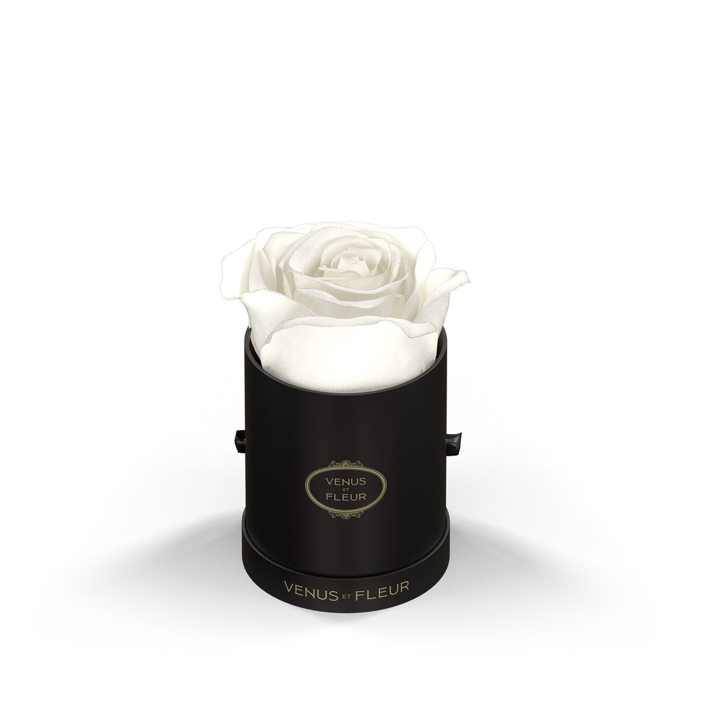 Le Mini Round, Black Classic, Pure White, 1 Eternity Rose, Venus et Fleur