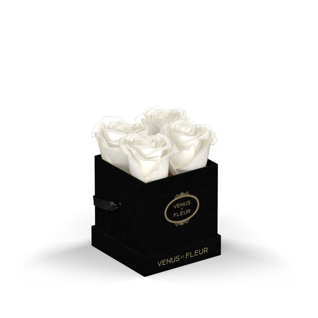 Le Petit Square, Black Suede, Pure White, 4 Eternity Roses, Venus et Fleur