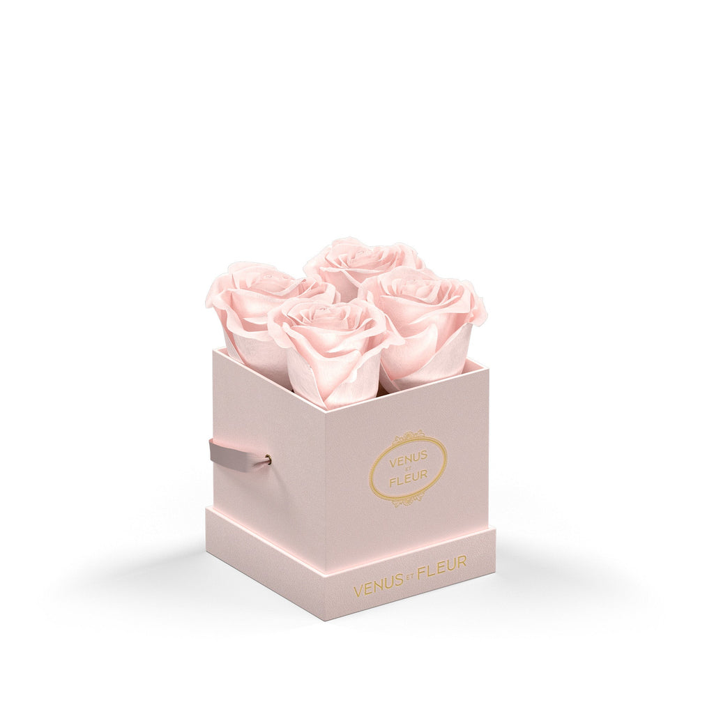 Le Petit Square, Blush Suede, Blush, 4 Eternity Roses, Venus et Fleur