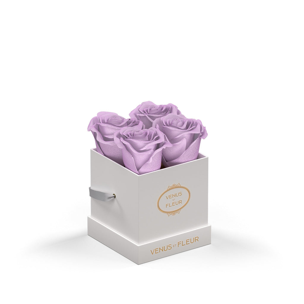 Le Petit Square, White Classic, Dusty Lavender, 4 Eternity Roses, Venus et Fleur