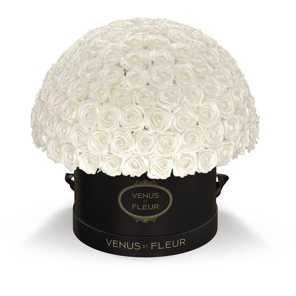 Large Le Plein, Black Classic, Pure White, 150 Eternity Roses, Venus et Fleur