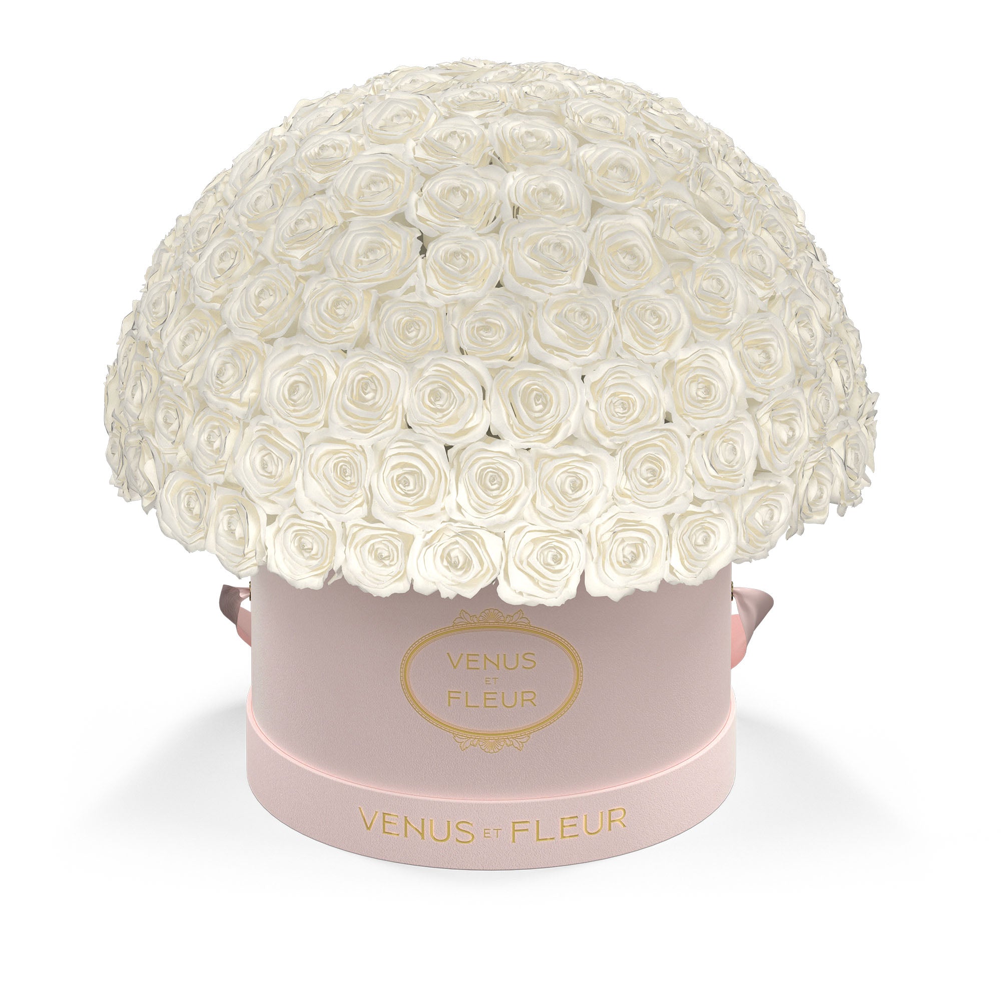 Le Plein with 150 Roses in Blush Hatbox | Venus et Fleur