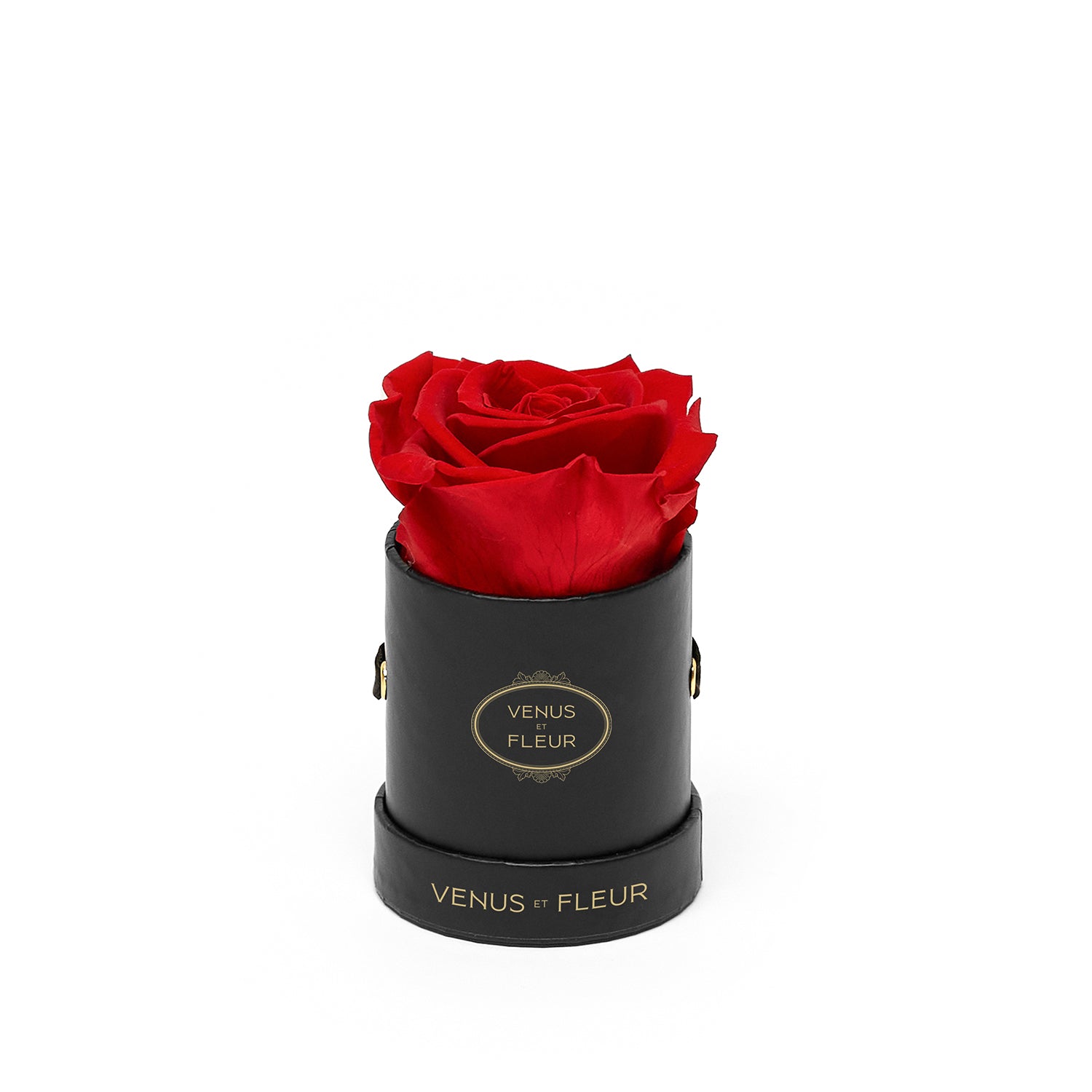 Red rose in a black cylindrical box with gold text 'VENUS ET FLEUR' on the box