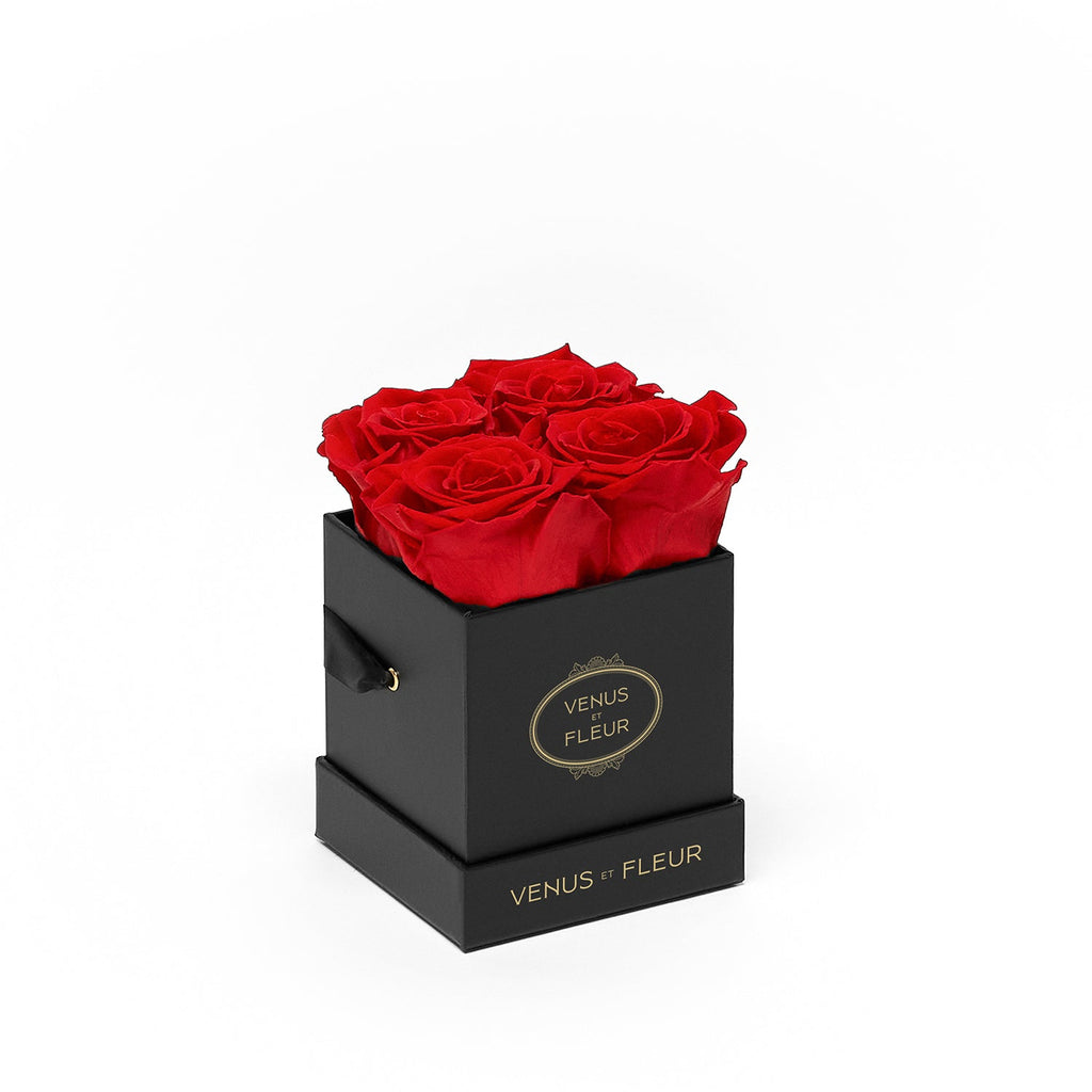 Le Petit Square, Black Classic, Red, 4 Eternity Roses, Venus et Fleur