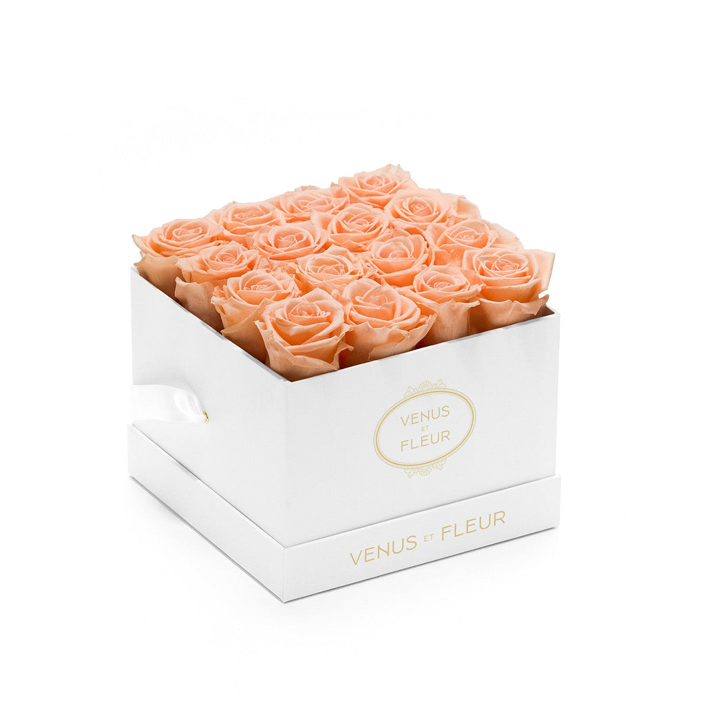 Small Square, White Classic, Peach Nectar, 16 Eternity Roses, Venus et Fleur