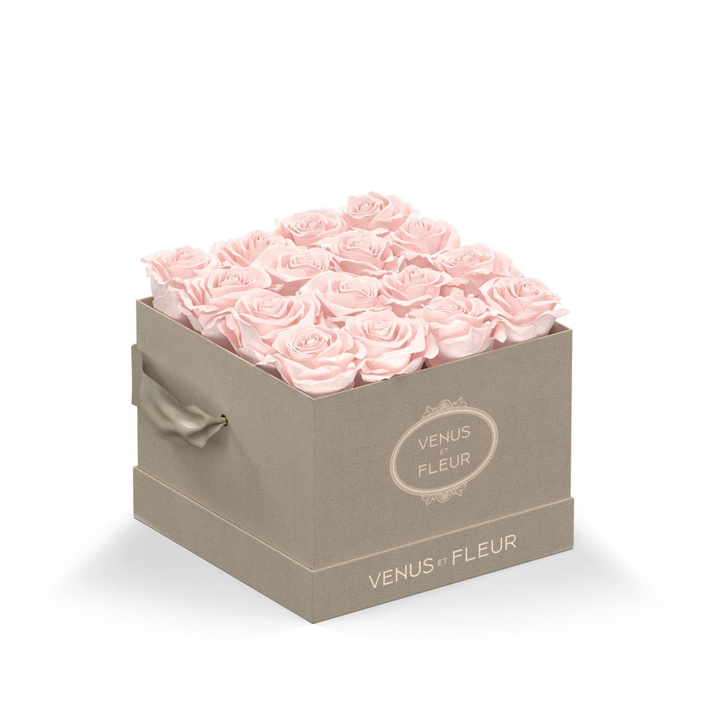 Small Square, Cream Suede, Blush, 16 Eternity Roses, Venus et Fleur