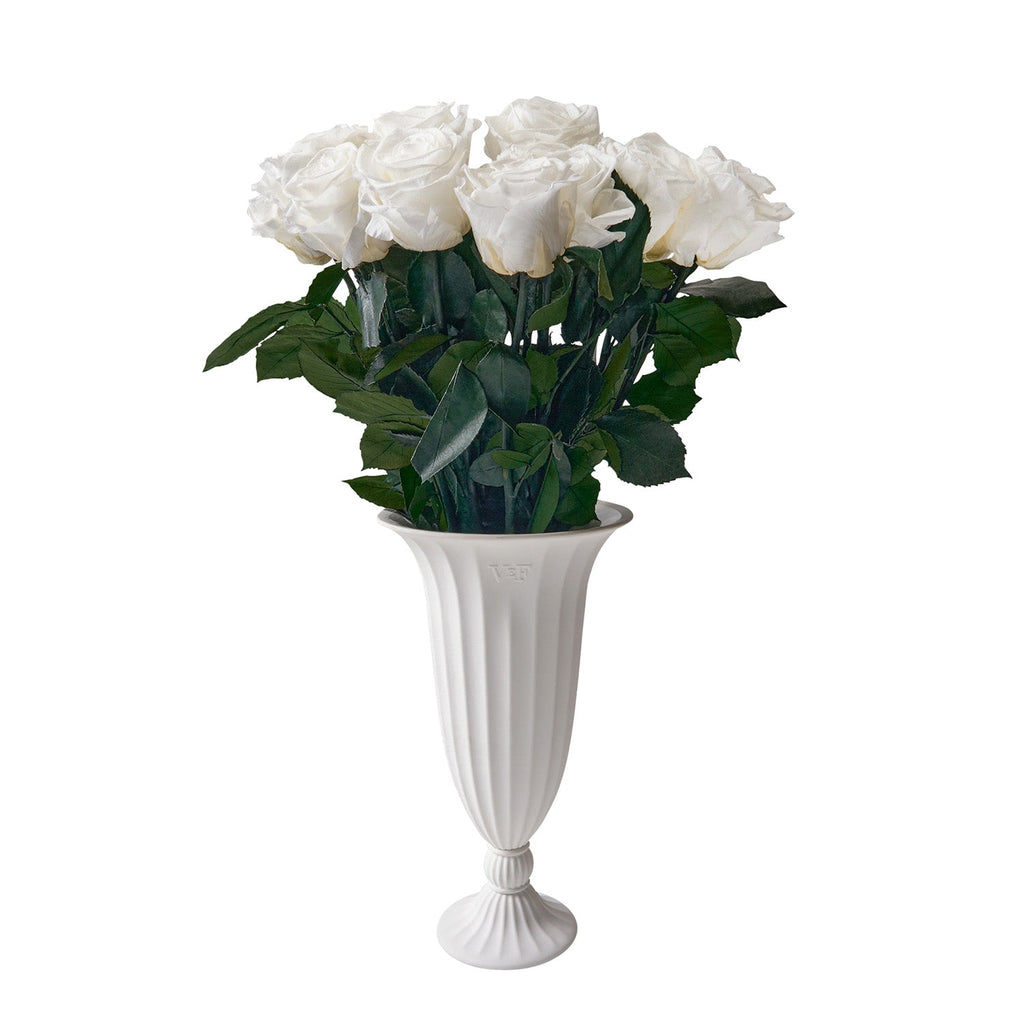 Aphrodite Porcelain Vase, One Dozen, Pure White, 12 Long-Stem Eternity Roses, Venus et Fleur