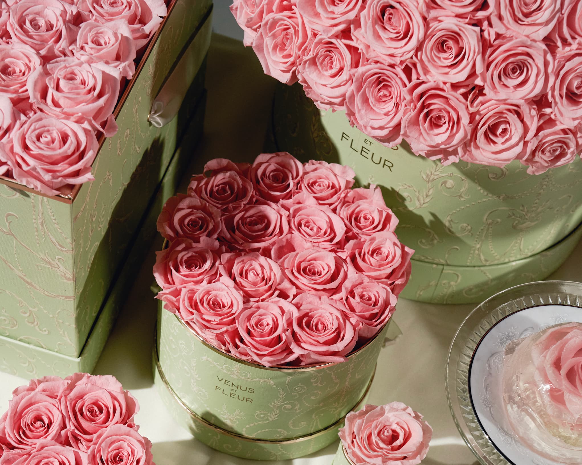 The Meaning of Rose Colors for Valentine’s Day
