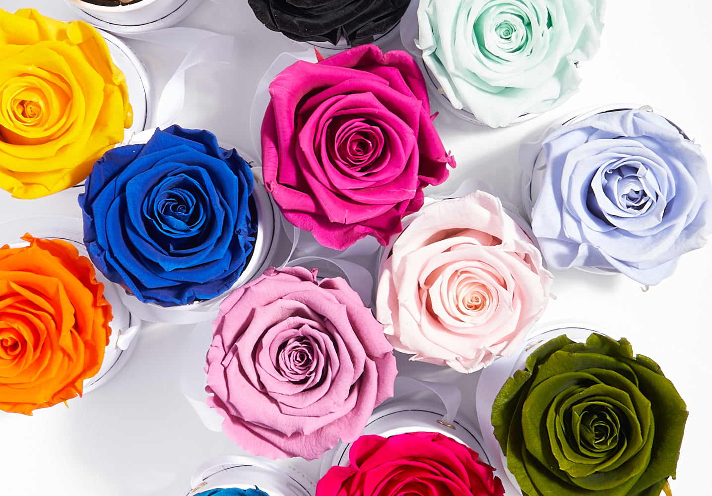 What Do Different Color Roses Symbolize?