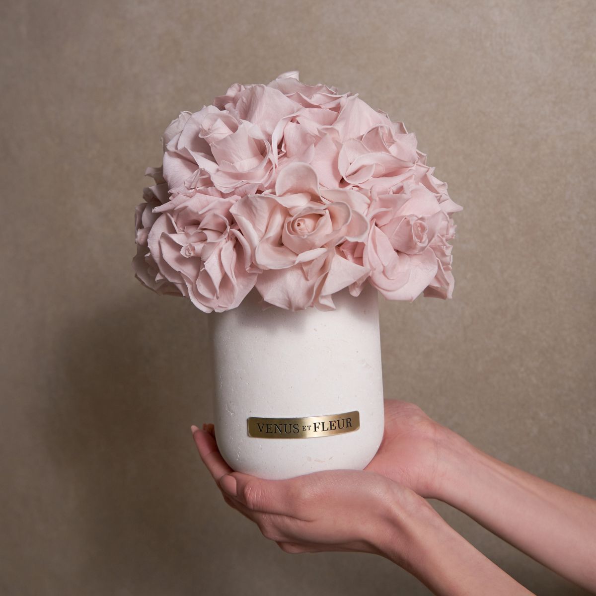 Our Dusty Papaya Reflexed Roses in Our Demi Sandstone Vase
