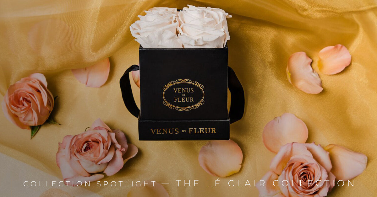 Collection Spotlight — The Lé Clair Collection