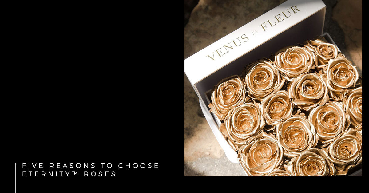 Five Reasons to Choose Eternity™ Roses