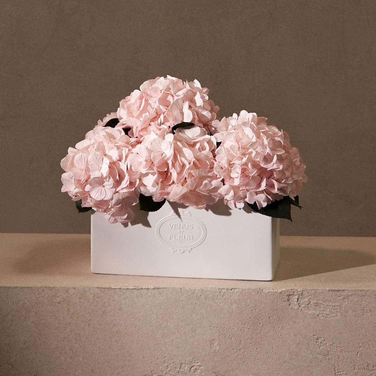 Venus et Fleur Pink Eternity Hydrangea Arrangement in White Porcelain Vase