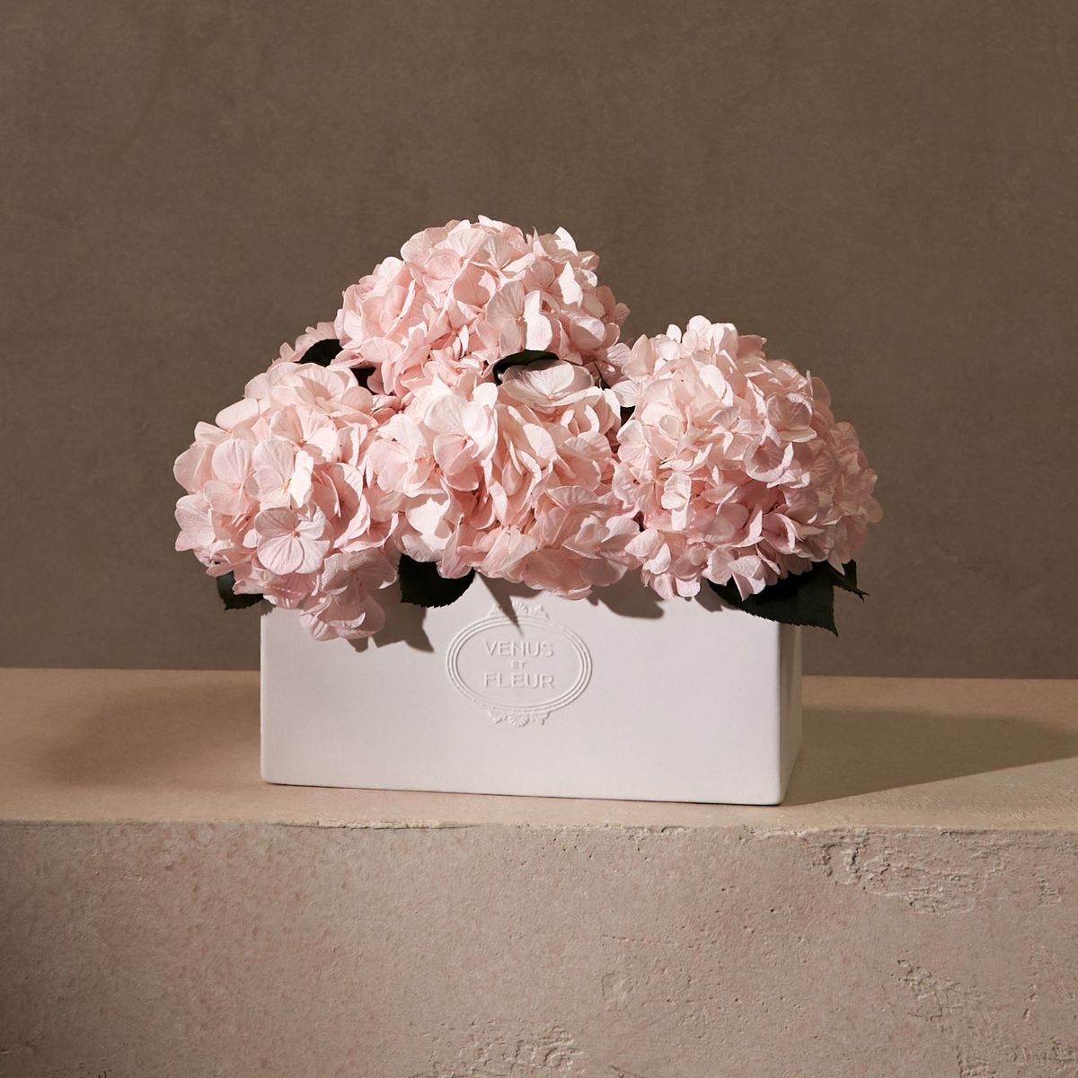 Hydrangea Flower: Meaning & Color Symbolism | Venus et Fleur
