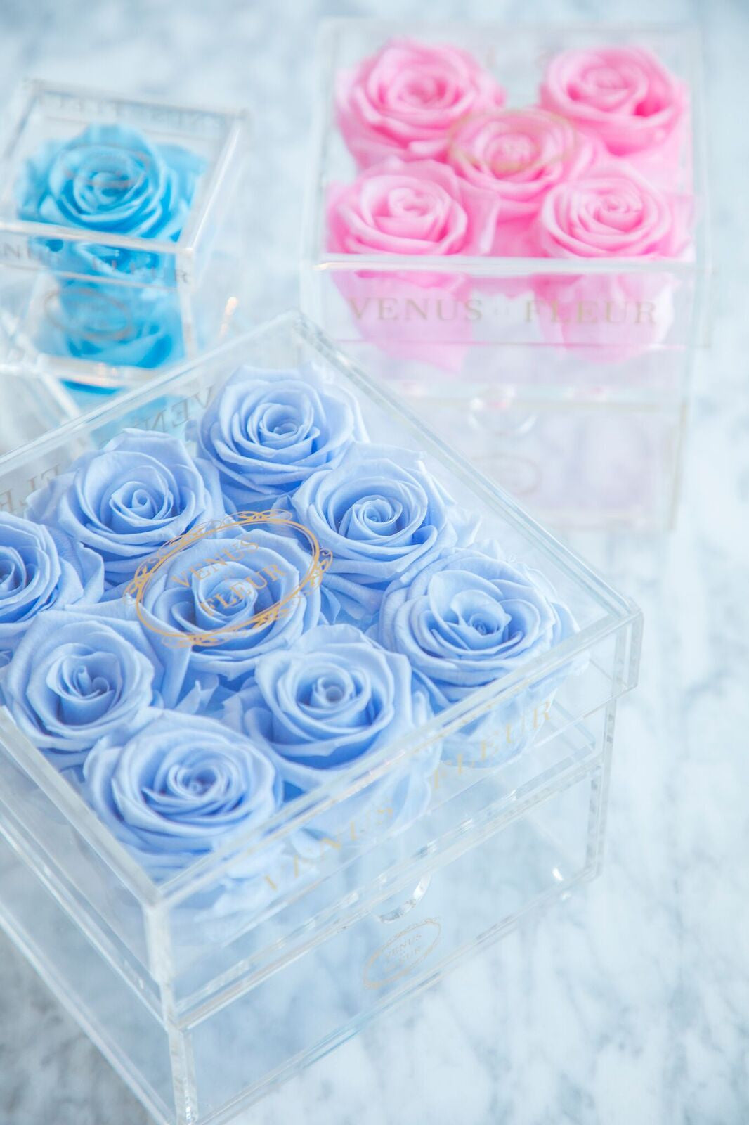 Encase Your Love With The Lé Clair Collection of Roses - Venus et