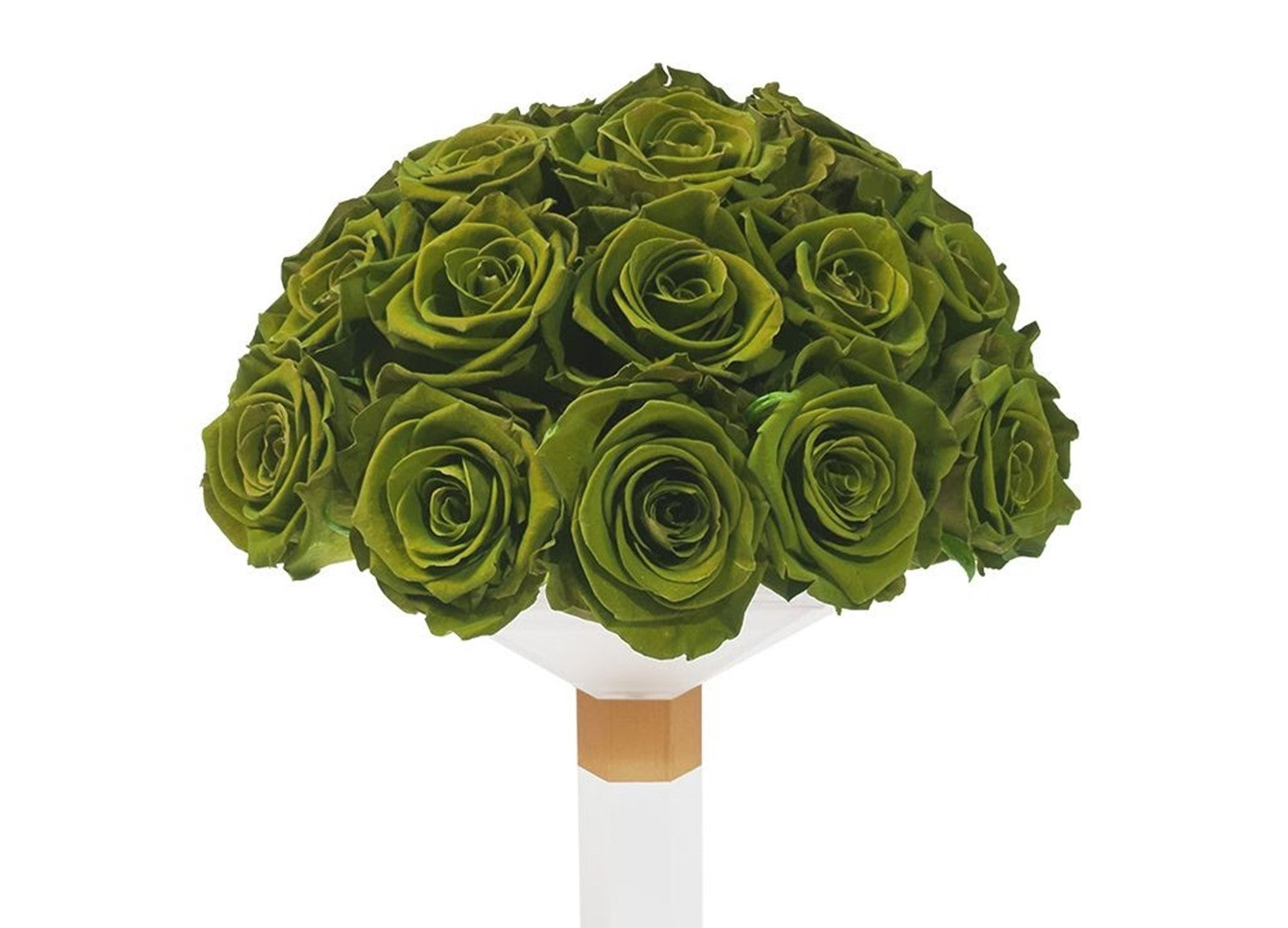Green Roses Meaning: The Real Story of the Green Rose
