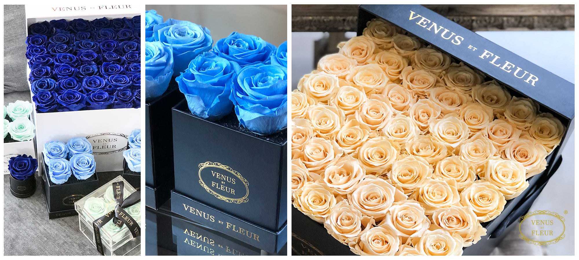 Eternity™ Roses for Stunning Seasonal Wedding Accents