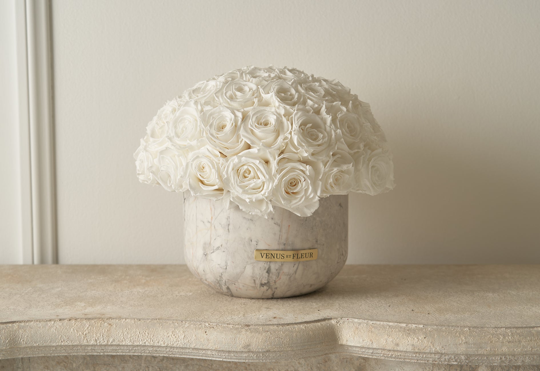 Immortalities Roses What are Eternity Roses? | Preserved Roses | Venus et Fleur