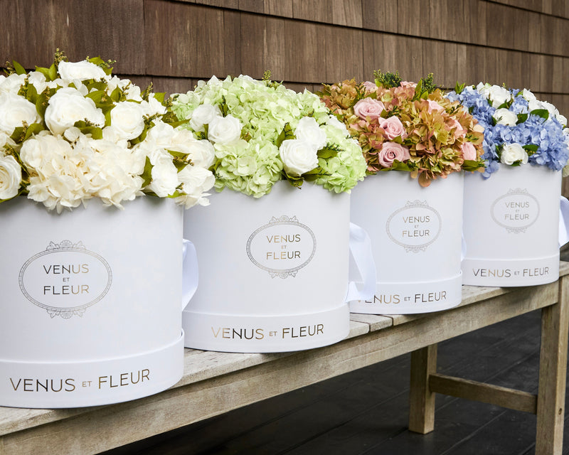 The Psychology of Floral Colors: What Your Hydrangeas and Peonies Really Say