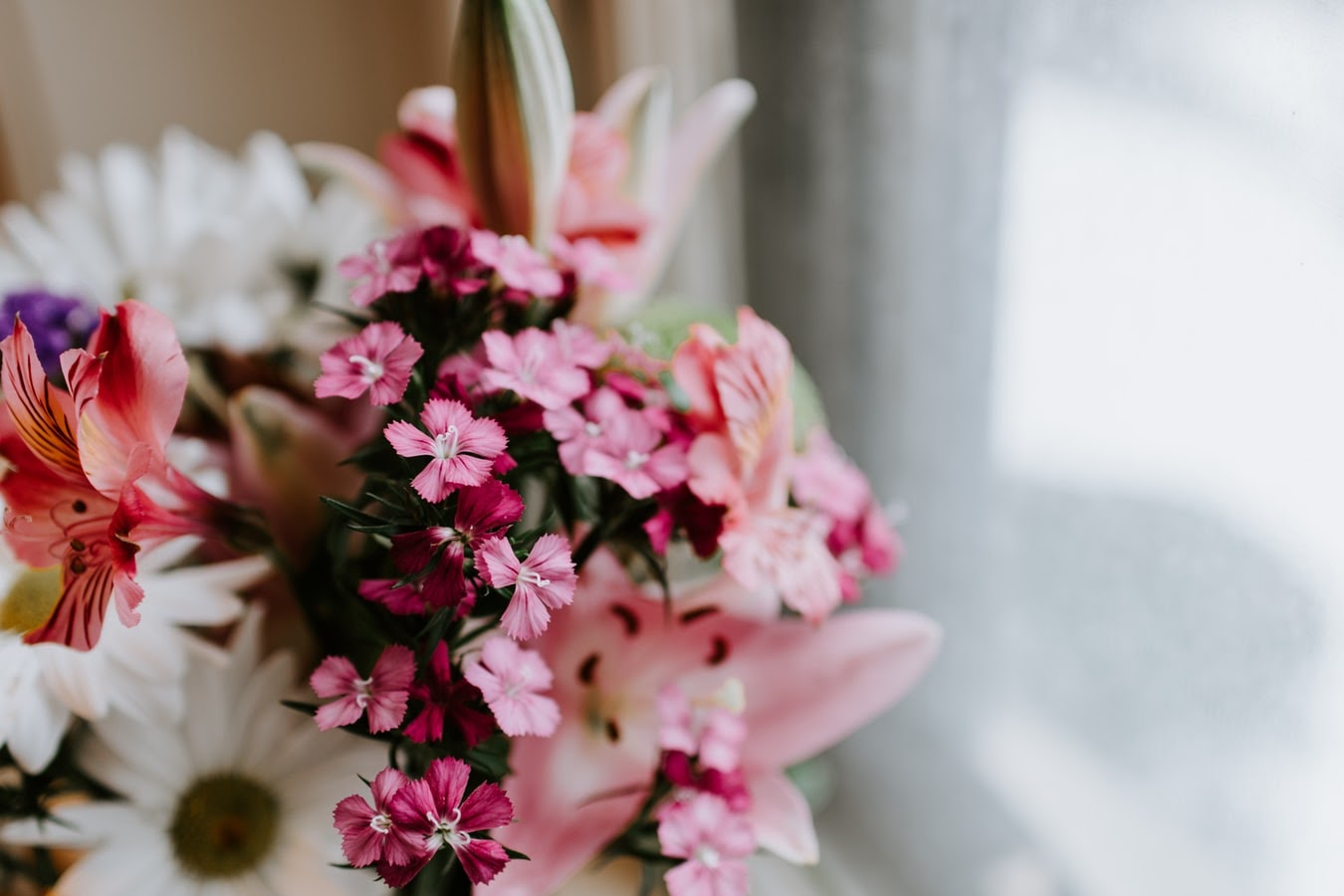 Apology Flowers: The Best Flowers to Say I’m Sorry