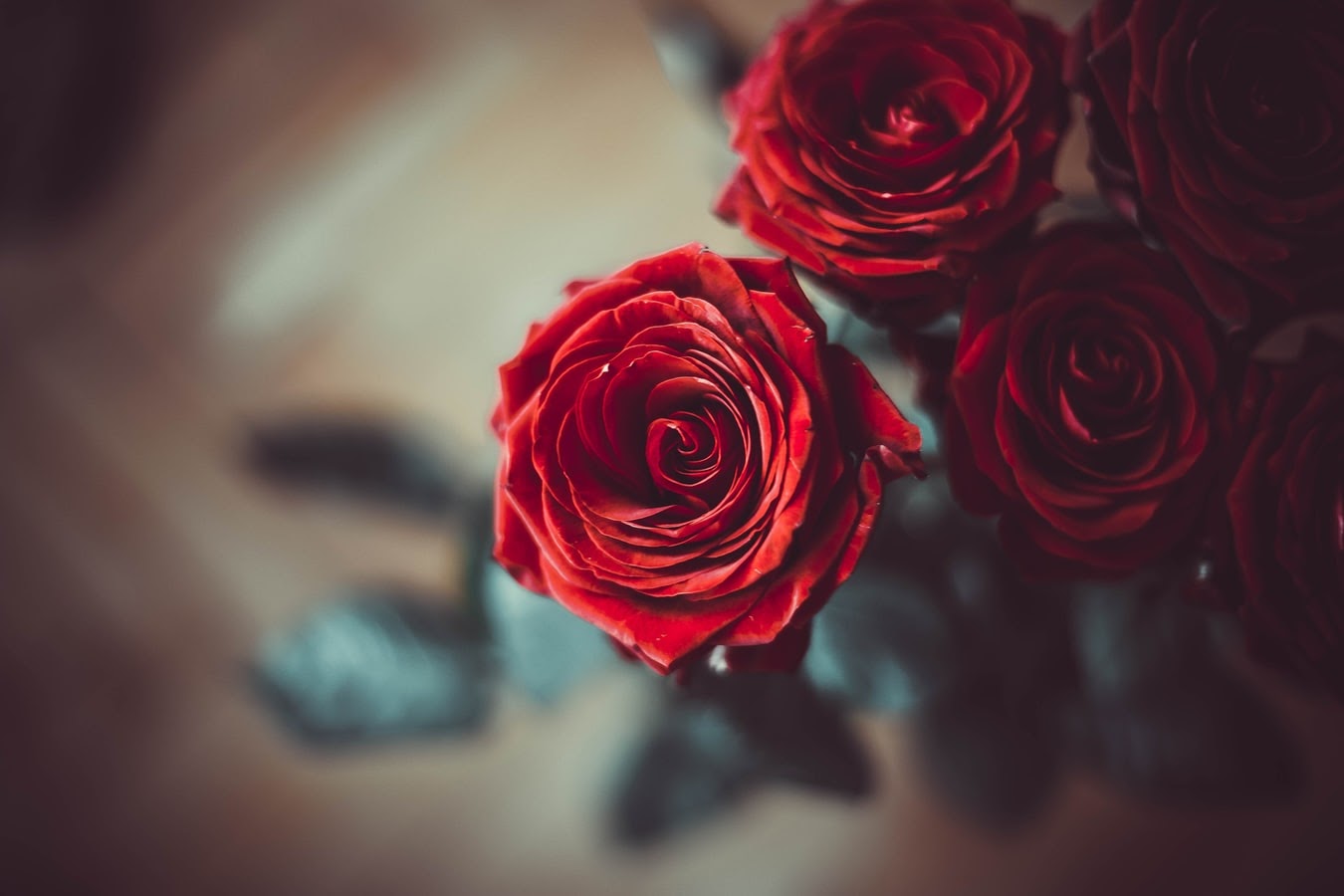 Do Men Like Flowers as a Gift?