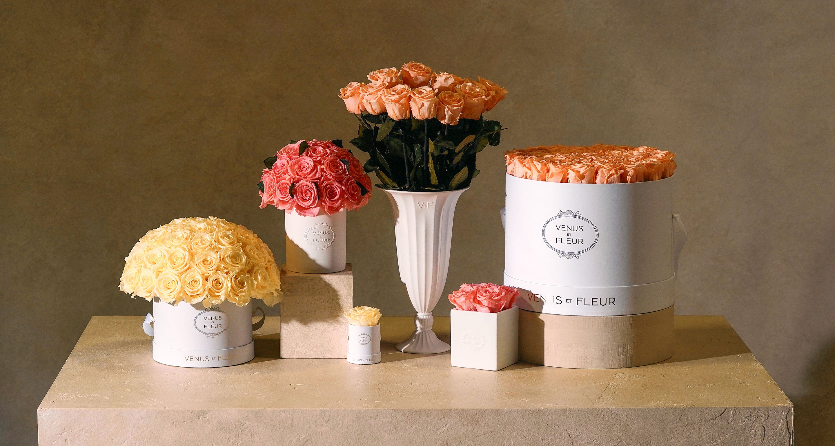 Embrace the Warmth of Spring with Venus et Fleur's Exquisite New Rose Colors