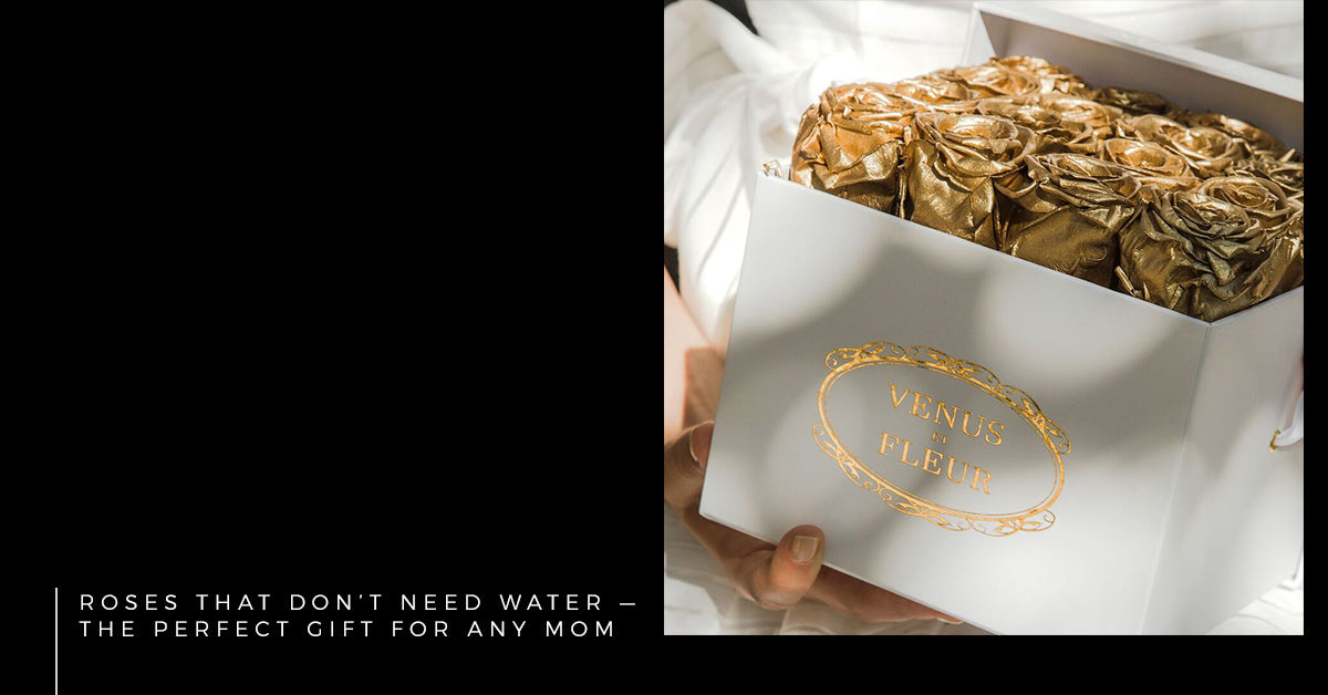 Roses that Don’t Need Water — The Perfect Gift for Any Mom