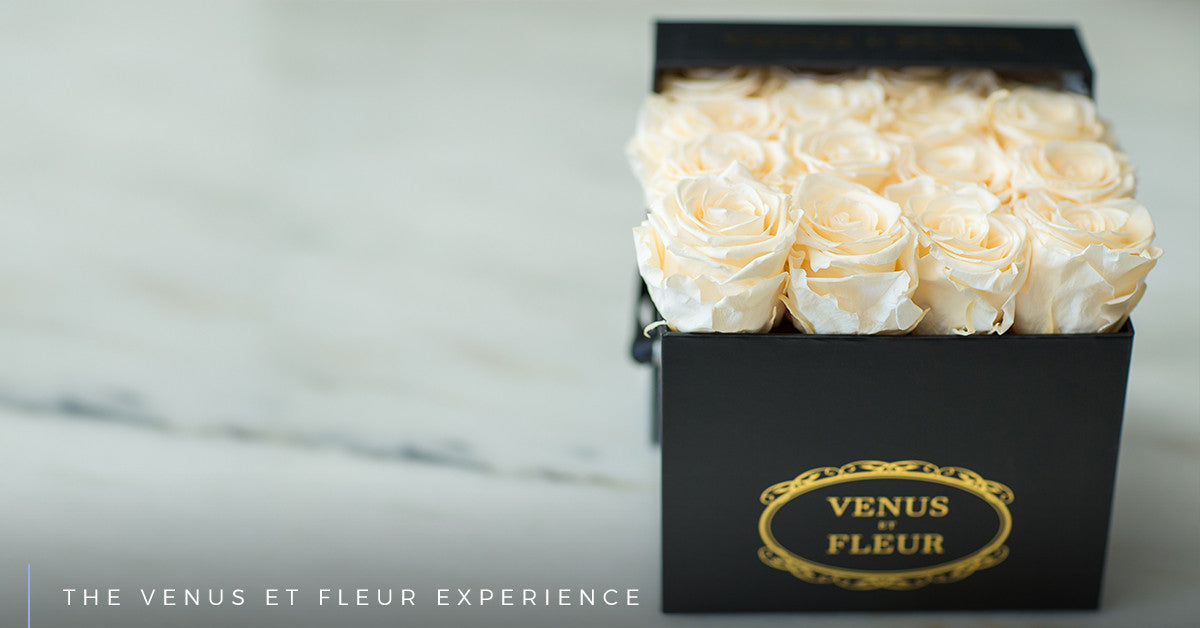 The Venus ET Fleur Experience