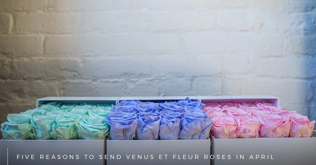 Five Reasons to Send Venus ET Fleur Roses in April