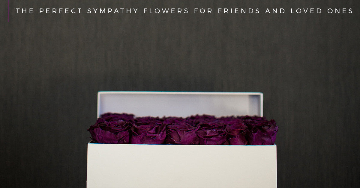 The Perfect Sympathy Flowers for Friends and Loved Ones
