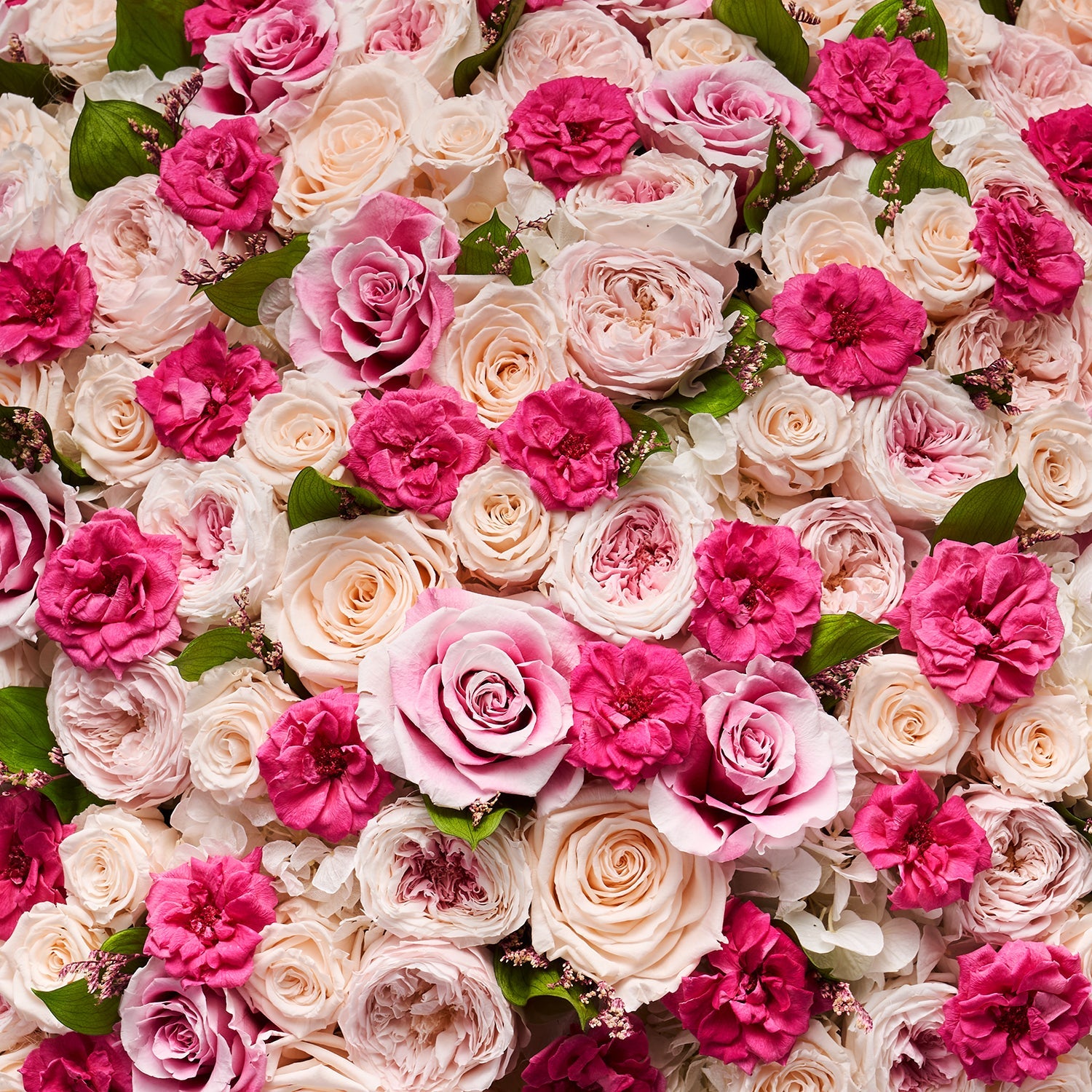 Extraordinary Experiences