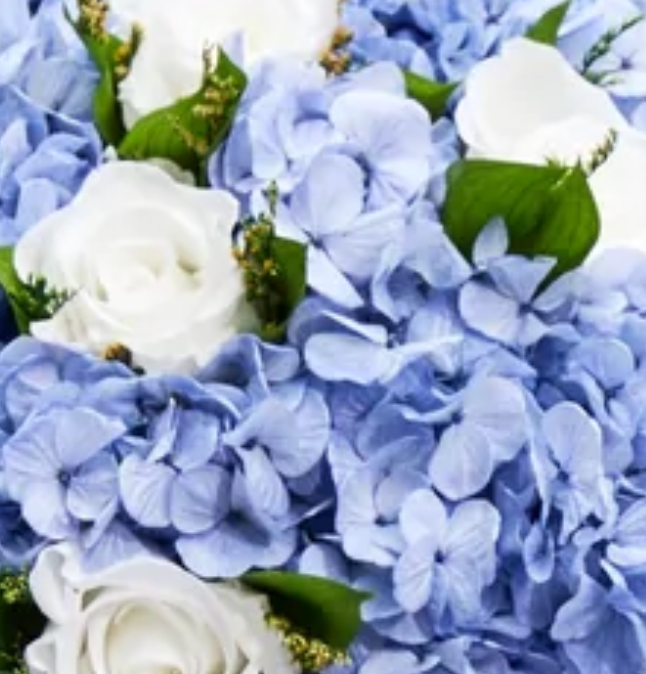 Summer Flowers