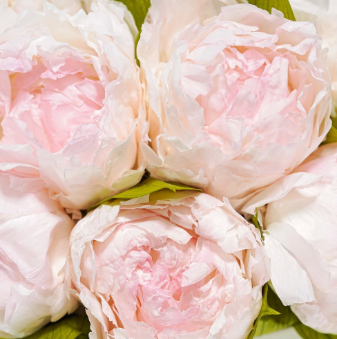 Peony Redirect