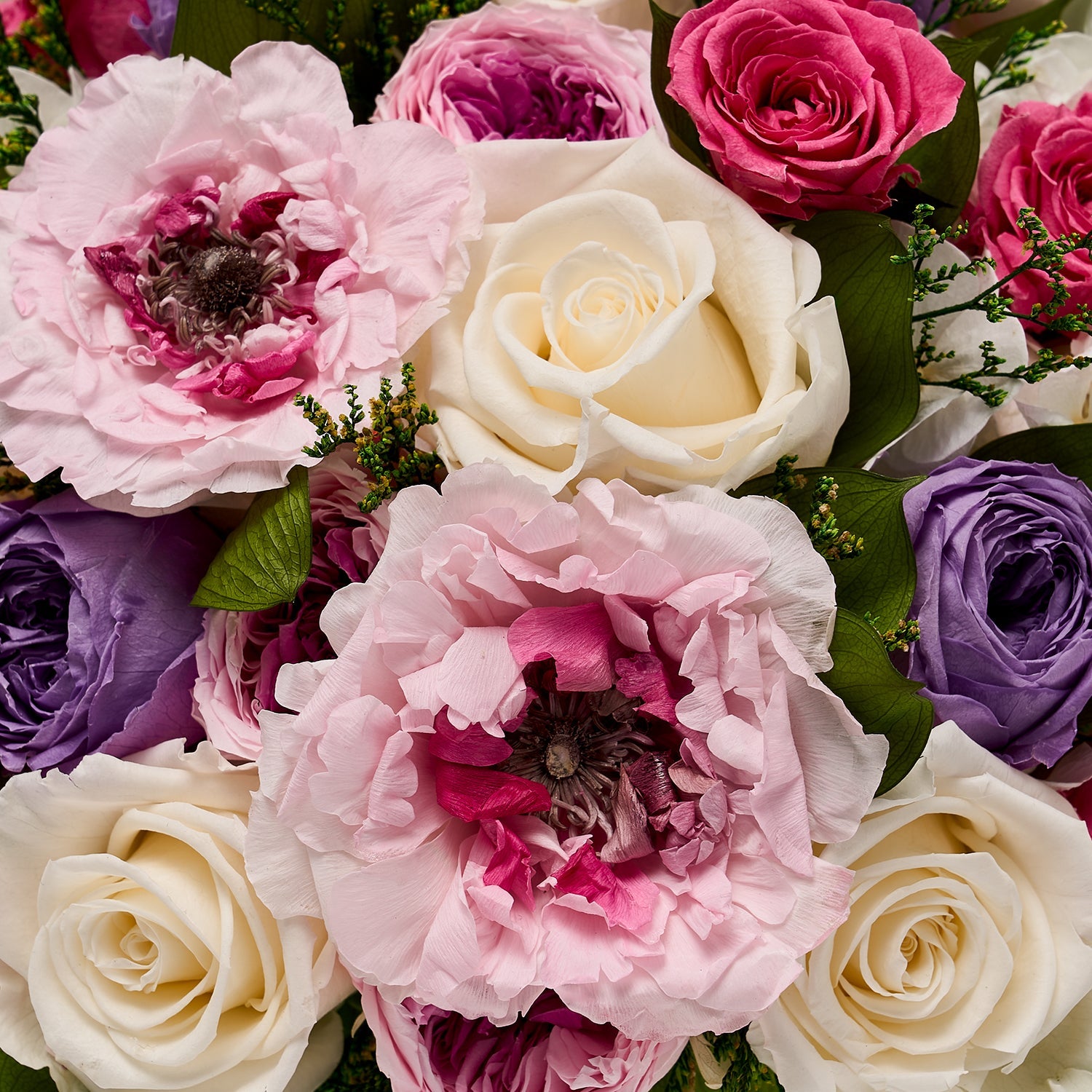 Eternity Japanese Ranunculus