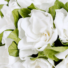 Gardenias